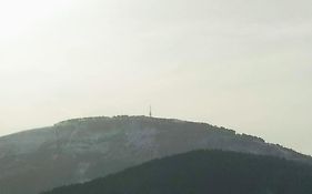 Apartament Rita